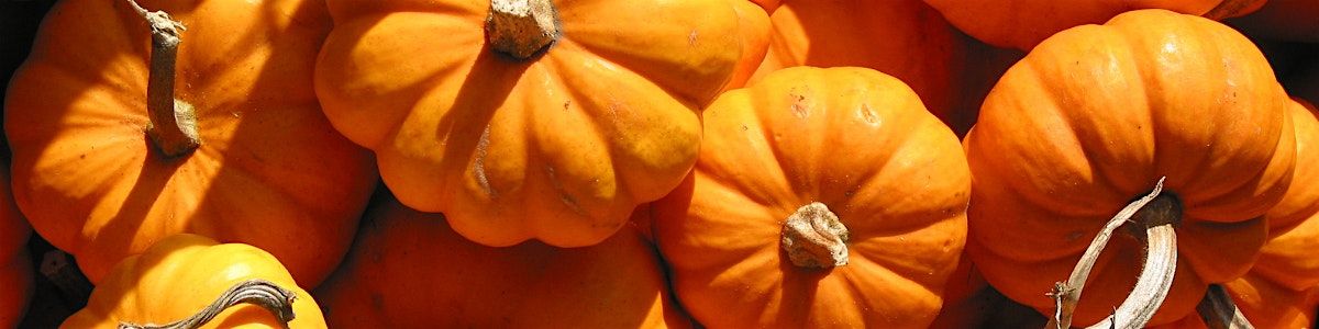 Fun on the Farm: An Ability Inclusive Fall Harvest Festival, 4 October | Event in Akron | AllEvents