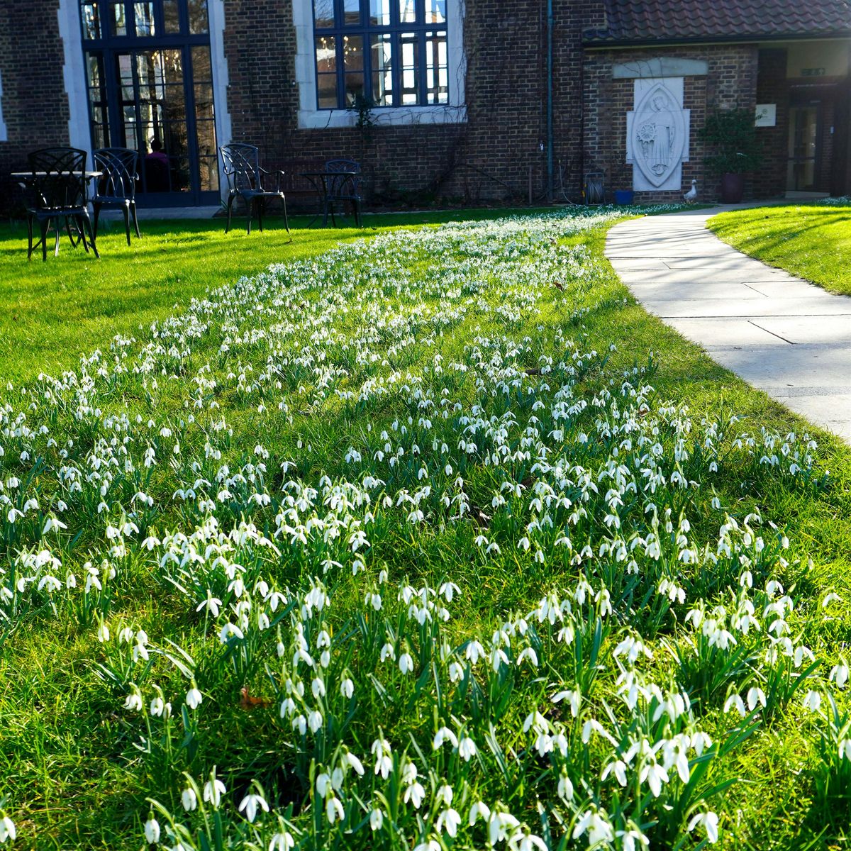 A quiet day with + Adrian Newman  'Decomposing ', 21 February | Event in London | AllEvents