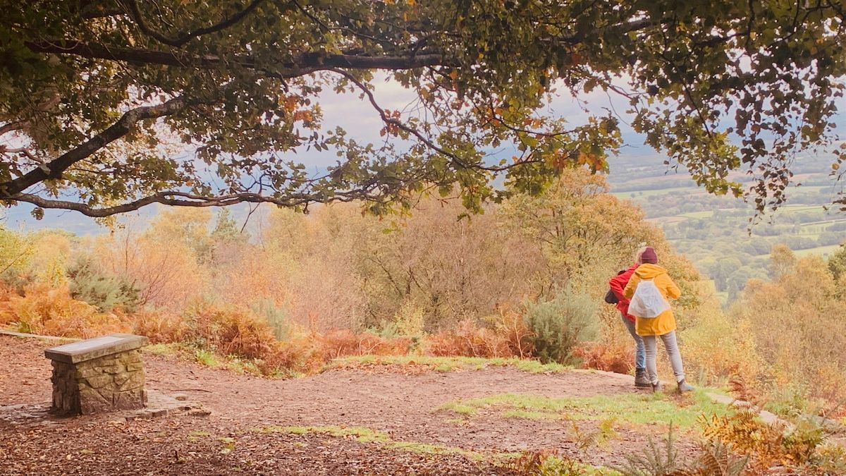 Autumn colours of the North Downs and the Temple of the winds hike, 1 November | Event in London | AllEvents