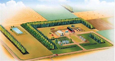 Special Areas Shelterbelt Workshop, 11 June | Event in Hanna | AllEvents