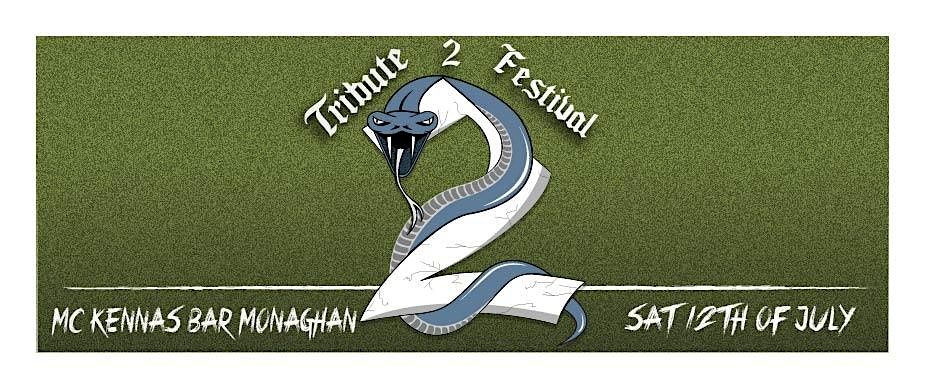 Tribute 2 Festival - 5 top tribute bands will be rocking Monaghan., 12 July | Event in Monaghan | AllEvents