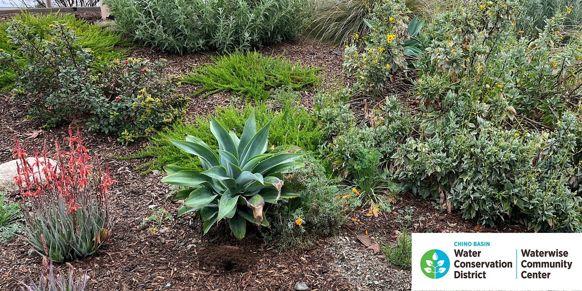 Intro to Waterwise Home Landscape Renovation and Turf Replacement Rebates, 26 July | Event in Montclair | AllEvents