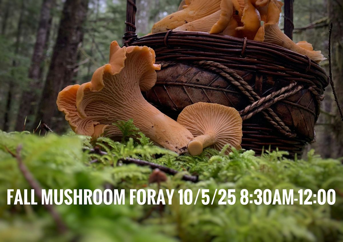 Fall Mushroom Foray Sun/10/5/25 8:30am, 5 October | Event in Carson | AllEvents