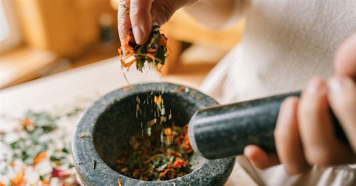 Herbal First Aid and Summertime Essentials, 14 June | Event in Johnson City | AllEvents