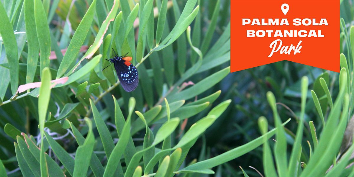 FFL: The Importance of Native Plants & Trees for Birds & Butterflies, 22 May | Event in Bradenton