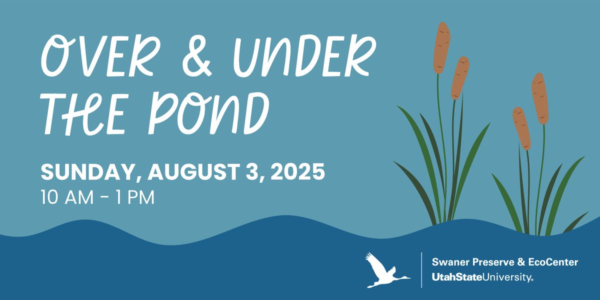 Over & Under the Pond Family Day, 3 August | Event in Park City | AllEvents