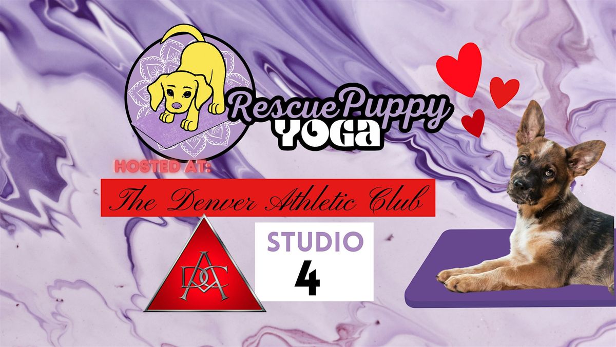 Rescue Puppy Yoga - The Denver Athletic Club, 25 May | Event in Denver | AllEvents