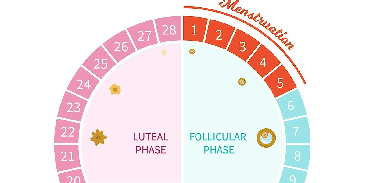 Harkness Sat Series:  Maximizing Performance Throughout the Menstrual Cycle, 14 June | Event in New York | AllEvents