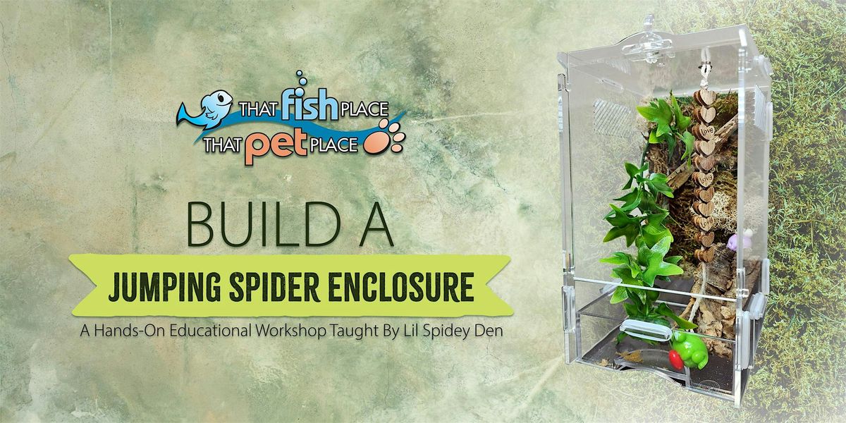 Build a Jumping Spider Enclosure, 1 June | Event in Lancaster | AllEvents