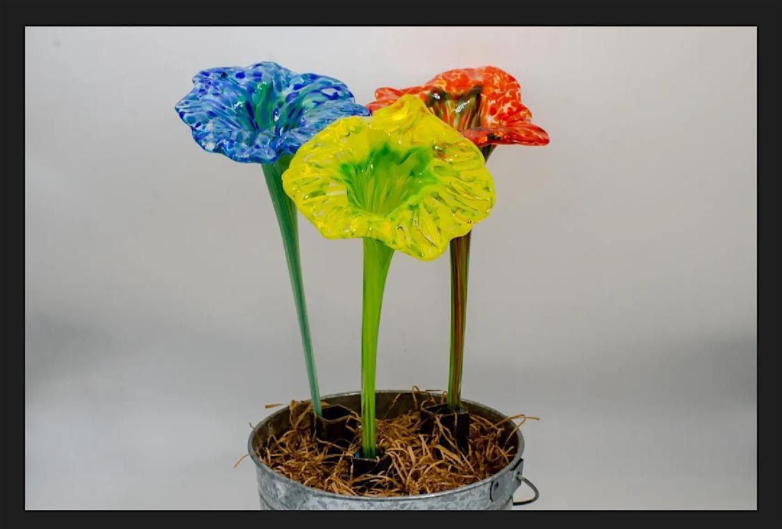 Plant-Watering Stakes! Beyond just pulled flowers. Your plants need these!, 19 September | Event in Indianapolis
