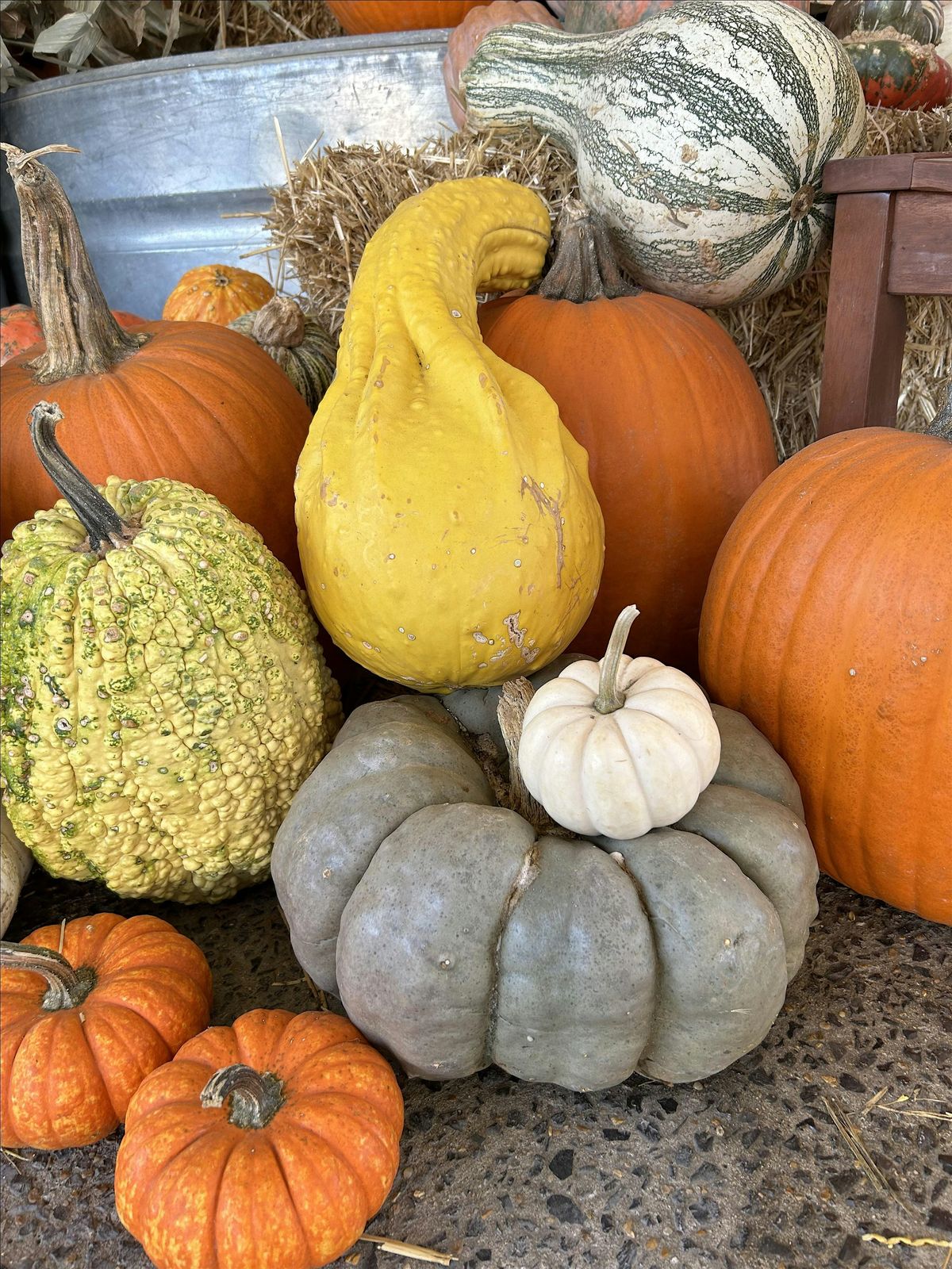 Urban Earth's Fall Flicker Fest, 11 October | Event in Memphis | AllEvents