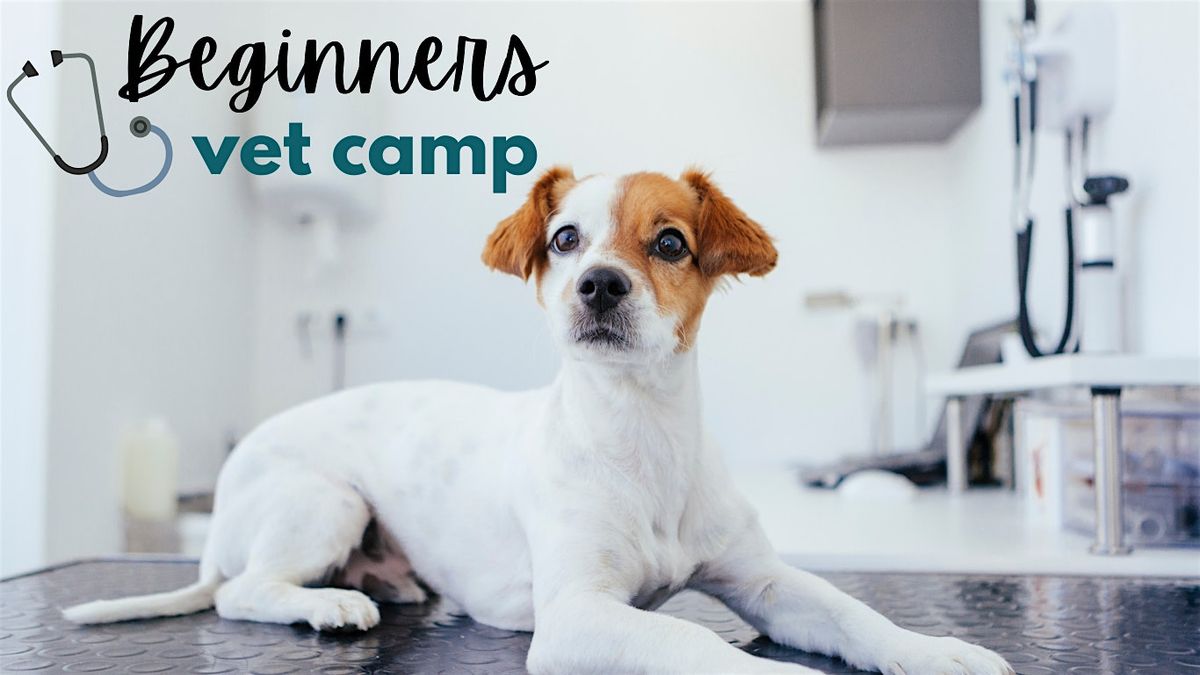 Beginner's Vet Camp Session 2, 18 August | Event in Janesville | AllEvents
