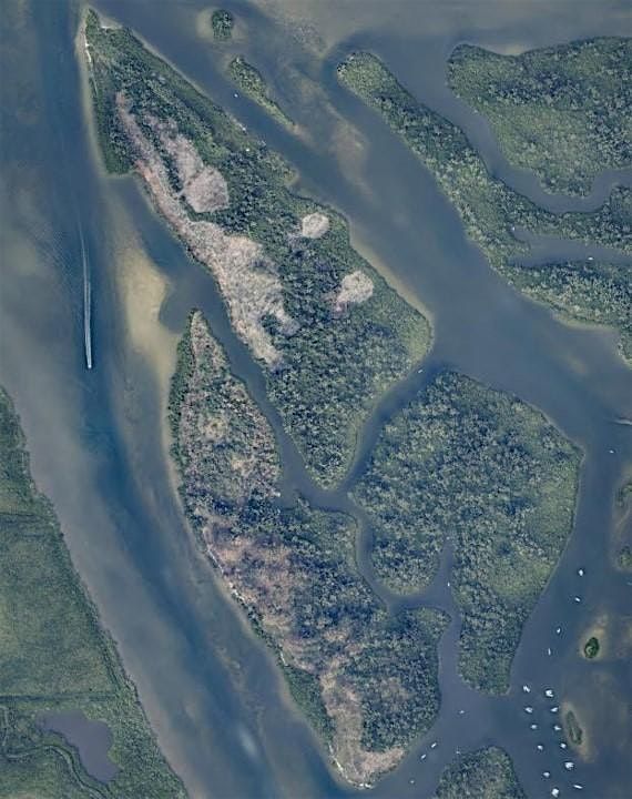 Lost Tree Island Field Trip, 12 June | Event in Vero Beach | AllEvents