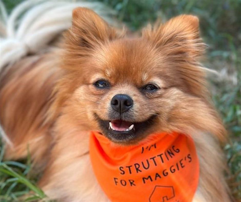 London Mutt Strutt 2025 | Event in London | AllEvents