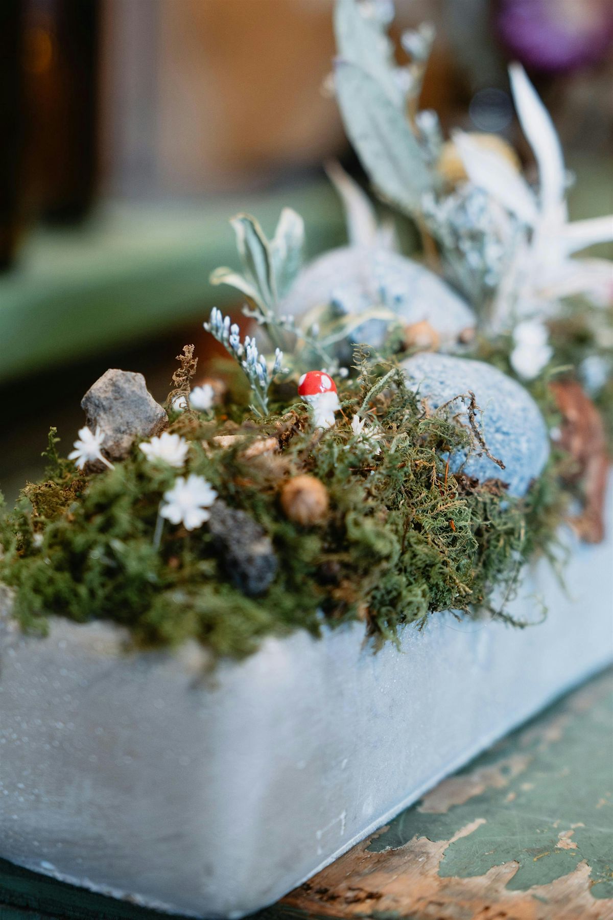 Plant Pals: Fairy Garden, 16 July | Event in Raleigh | AllEvents
