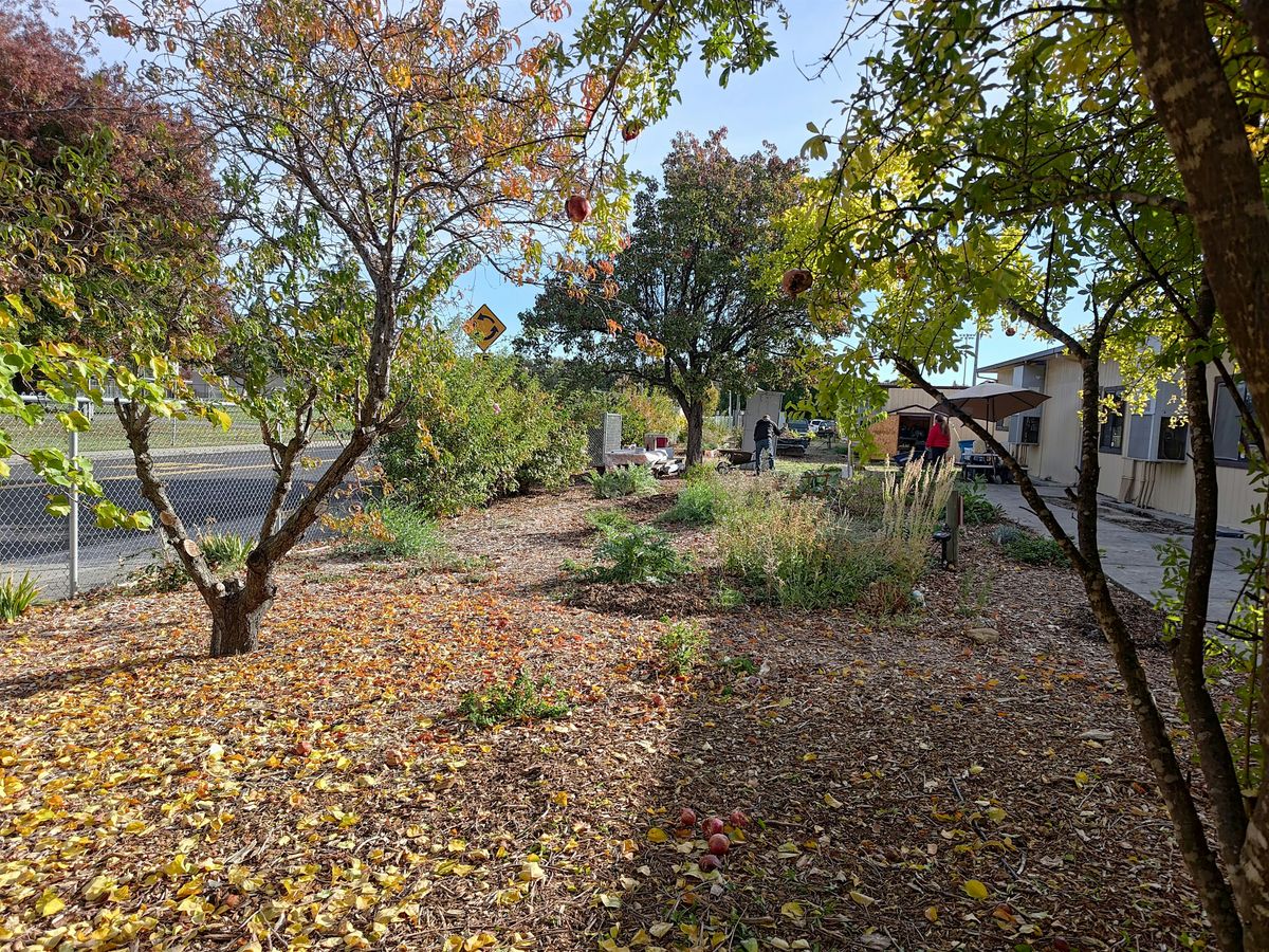 Padan Elementary Garden May Workday, 10 May | Event in Vacaville | AllEvents