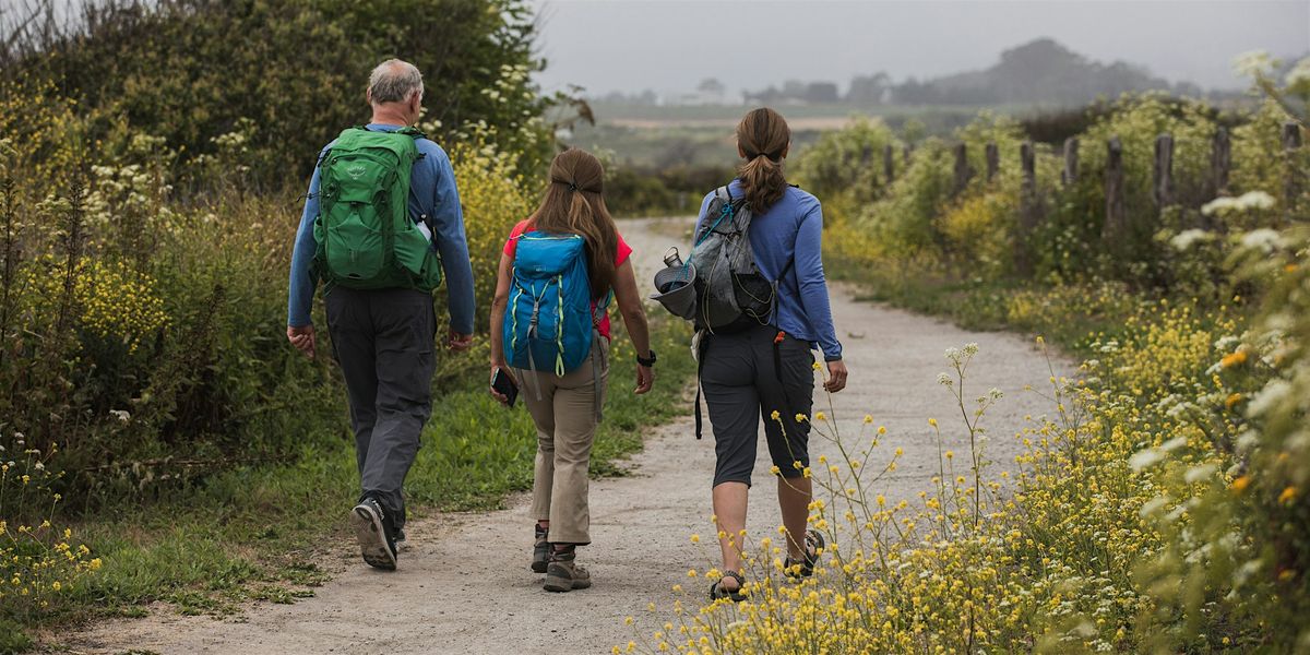 Coastal Walk at Cowell-Purisima Trail, 16 August | Event in Half Moon Bay | AllEvents