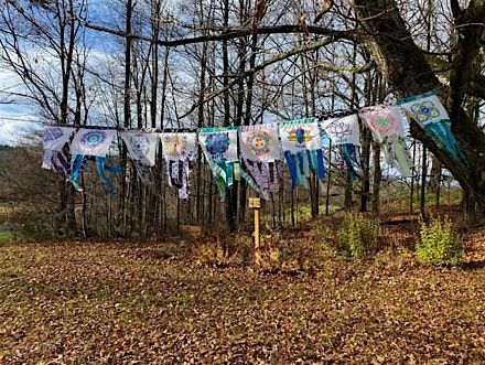 Forest Bathing, Fall, 11 October | Event in Benson | AllEvents