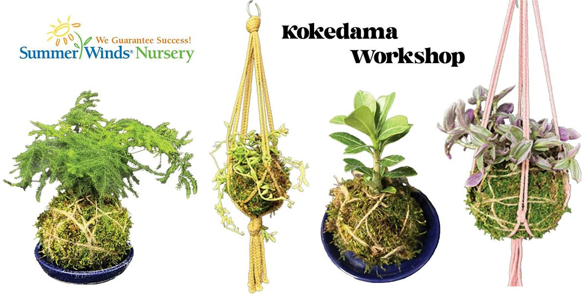 Build Your Own Kokedama Workshop at SummerWinds Nursery in Phoenix, 26 July | Event in Phoenix | AllEvents