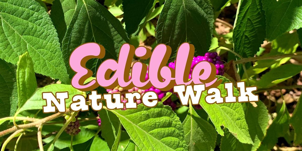 Edible Nature Walk with Ranger Jonah, 28 August | Event in Decatur | AllEvents