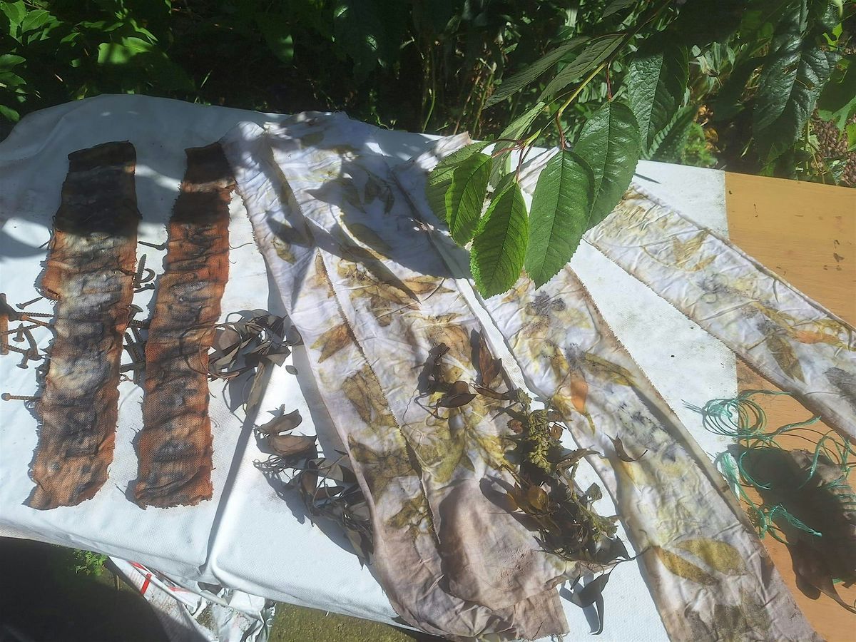 Botanical Printmaking Workshop, 9 August | Event in Acle | AllEvents