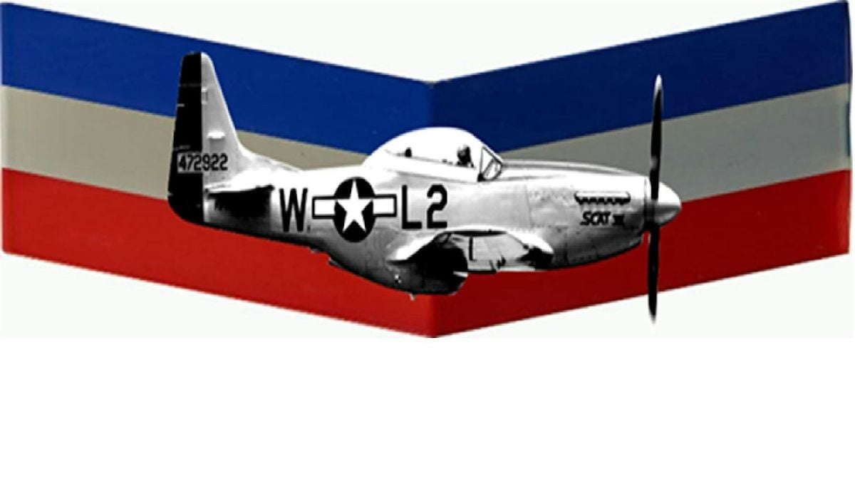 WWII Comes to Jax - the P-51 Mustang Crashes in 1944, 20 July | Event in Jacksonville | AllEvents