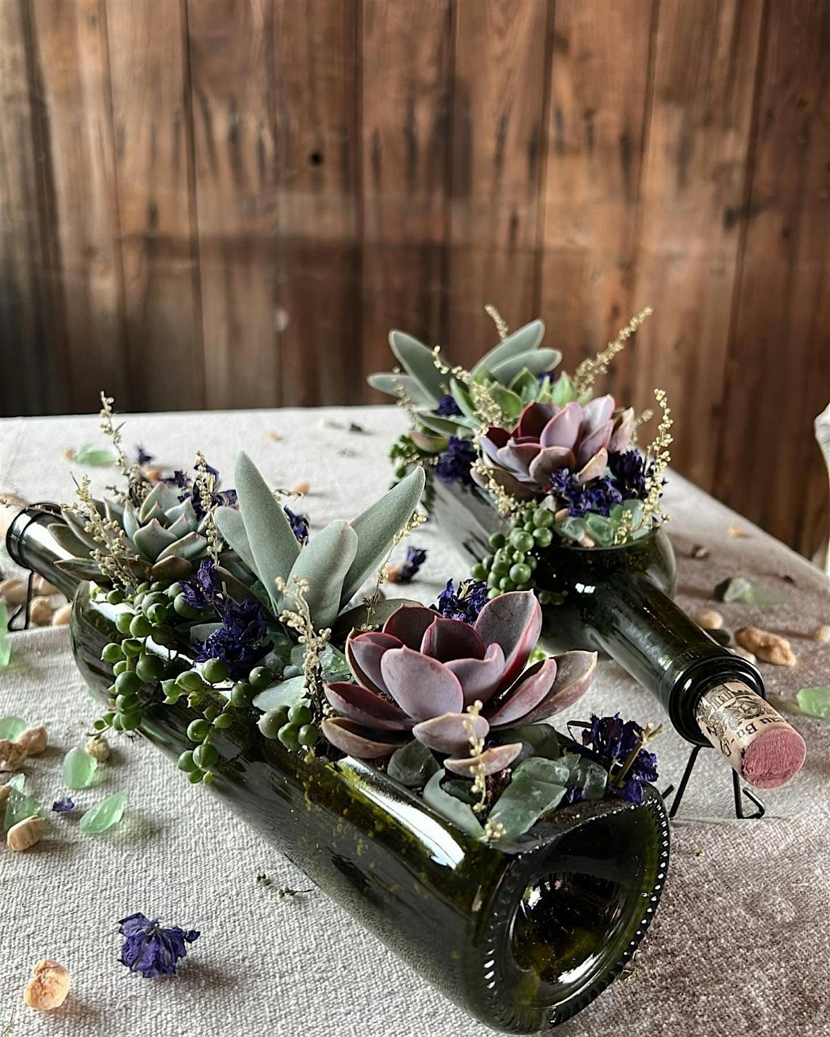 Wine Bottle Succulent Planter Workshop at Hidden Hills Farm & Vineyard, 28 June | Event in Frederick | AllEvents