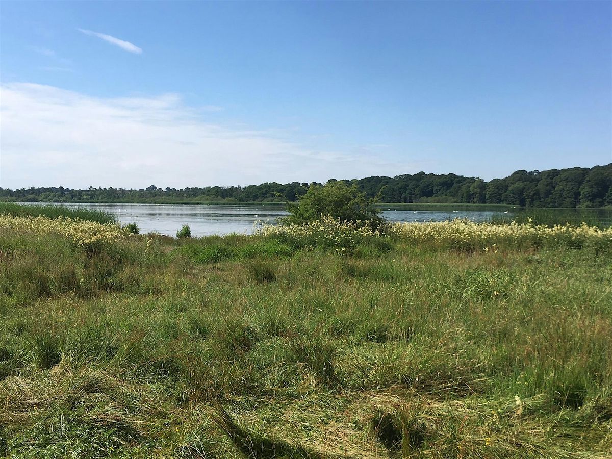 Round the Mere Ramble, 10 October | Event in Newport | AllEvents