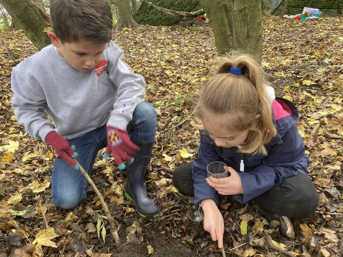 Belfairs Creepy Crawlies, 29 October | Event in Southend-on-Sea | AllEvents