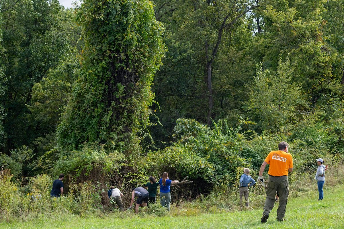 Volunteer Workday: Wizard Ranch Nature Preserve, 22 June | Event in Hallam | AllEvents