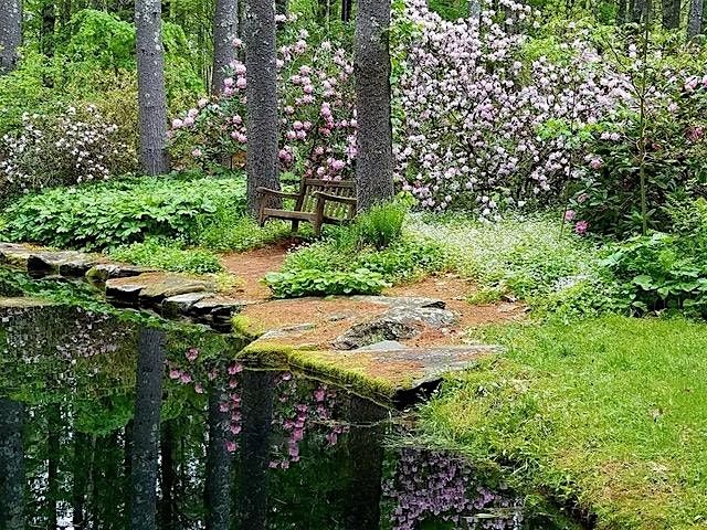 Monthly Meet Up: Foundations of Gardening. | Event in Lee | AllEvents