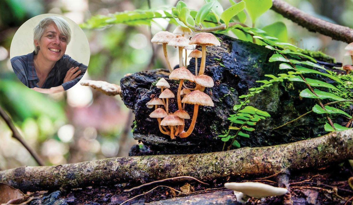 The Afterlife of Trees: A Science Conversation with Amy Zanne | in-person, 24 October | Event in Millbrook