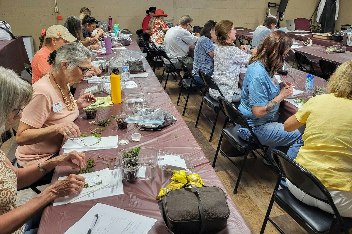 Plant Propagation, 25 February | Event in Murphy | AllEvents