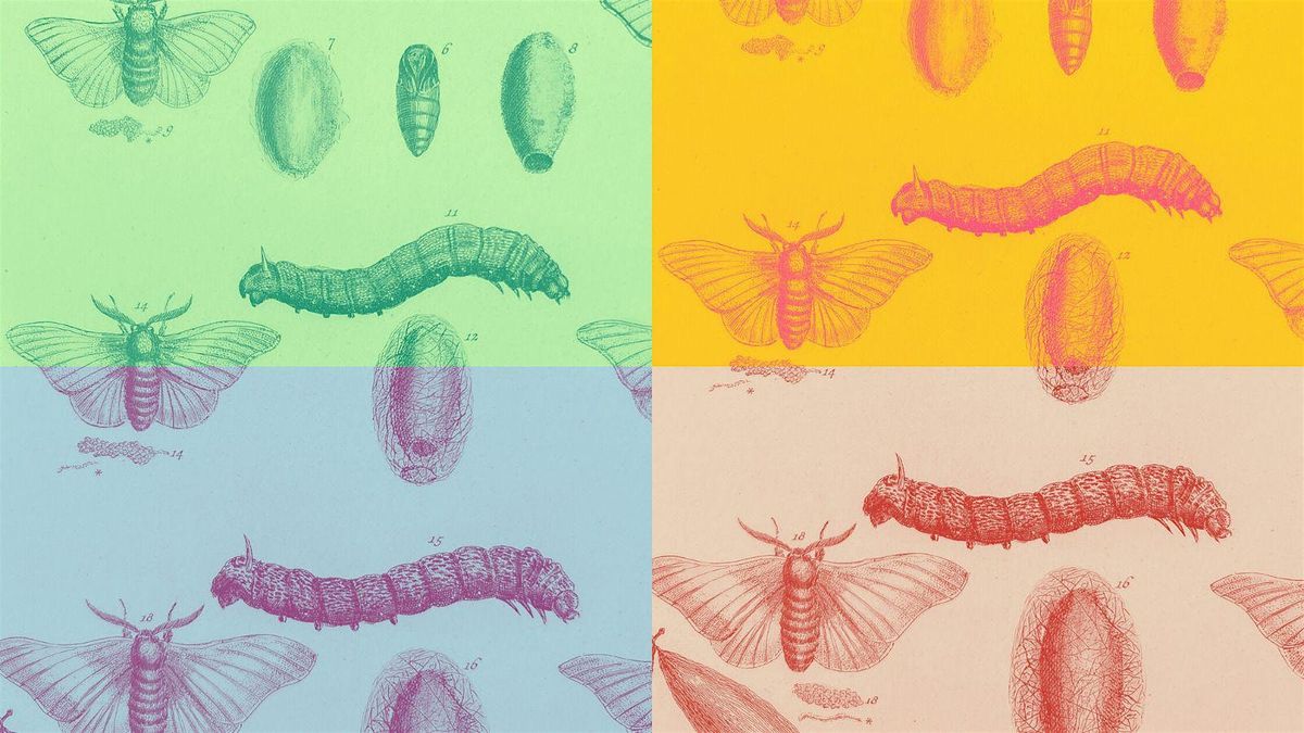 Creative making: Inspired by nature, 10 March | Event in Edinburgh | AllEvents