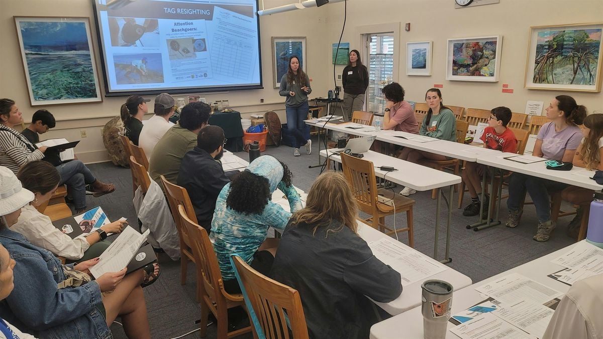 Fall 2025 Miami-Dade Florida Horseshoe Crab Watch training, 17 August | Event in Key Biscayne | AllEvents