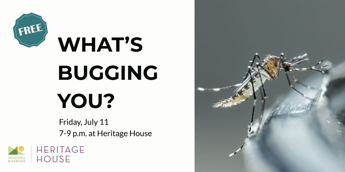 What's Bugging You?, 11 July | Event in Riverside | AllEvents