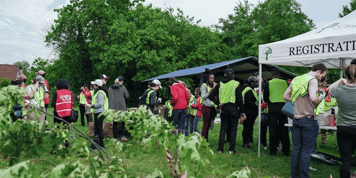 Community Tree Care: Turkey Thicket Tree Care for Ward 5 Day, 20 September | Event in Washington | AllEvents