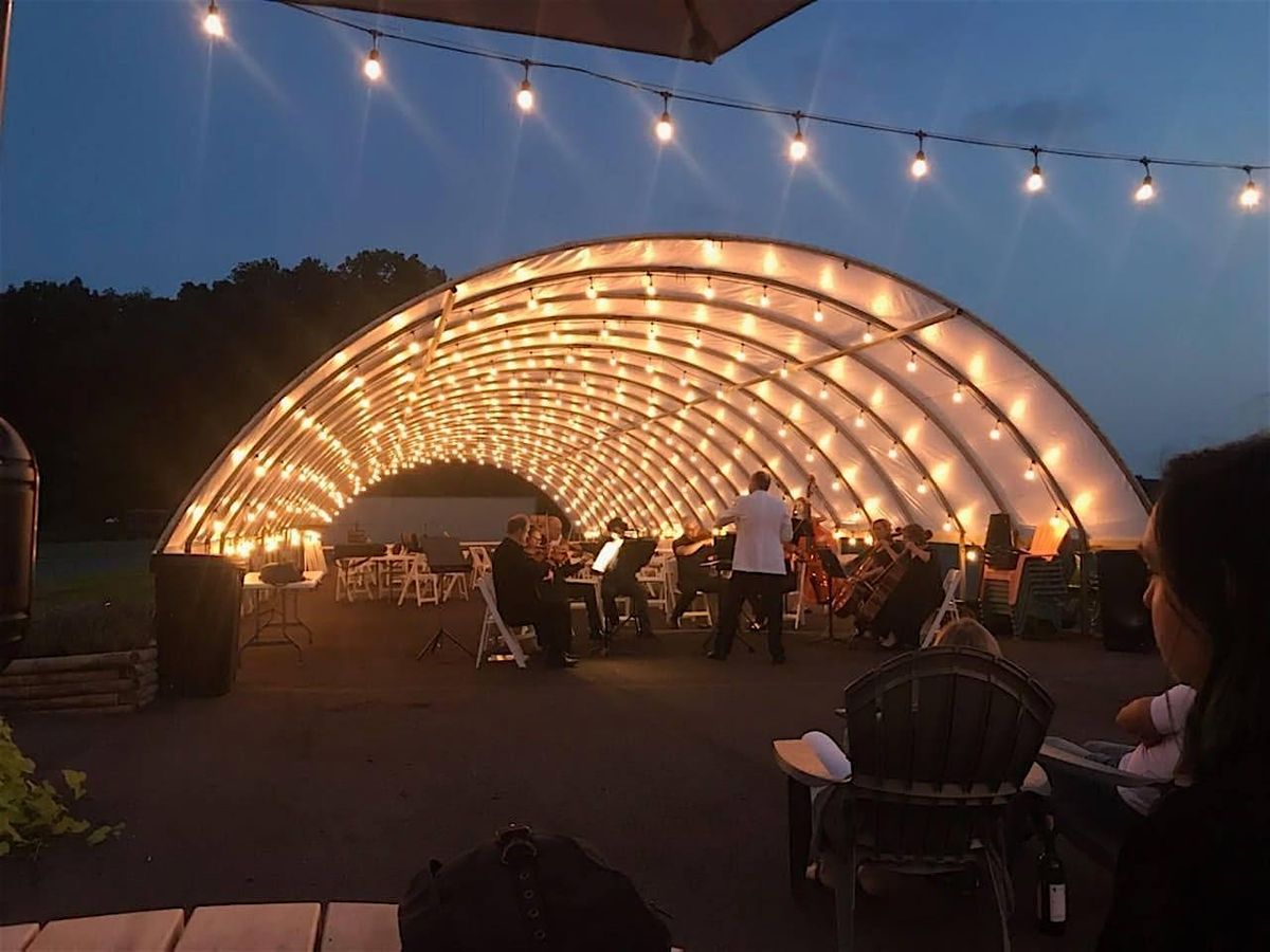 South Shore Orchestra Presents: String Quartet by Candlelight, 11 October | Event in Valparaiso | AllEvents