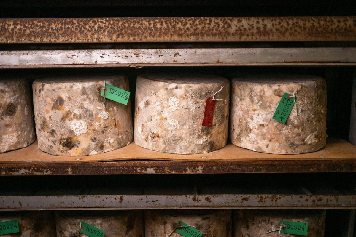 Quicke's Cheese Tour 5th June, 5 June | Event in Exeter | AllEvents