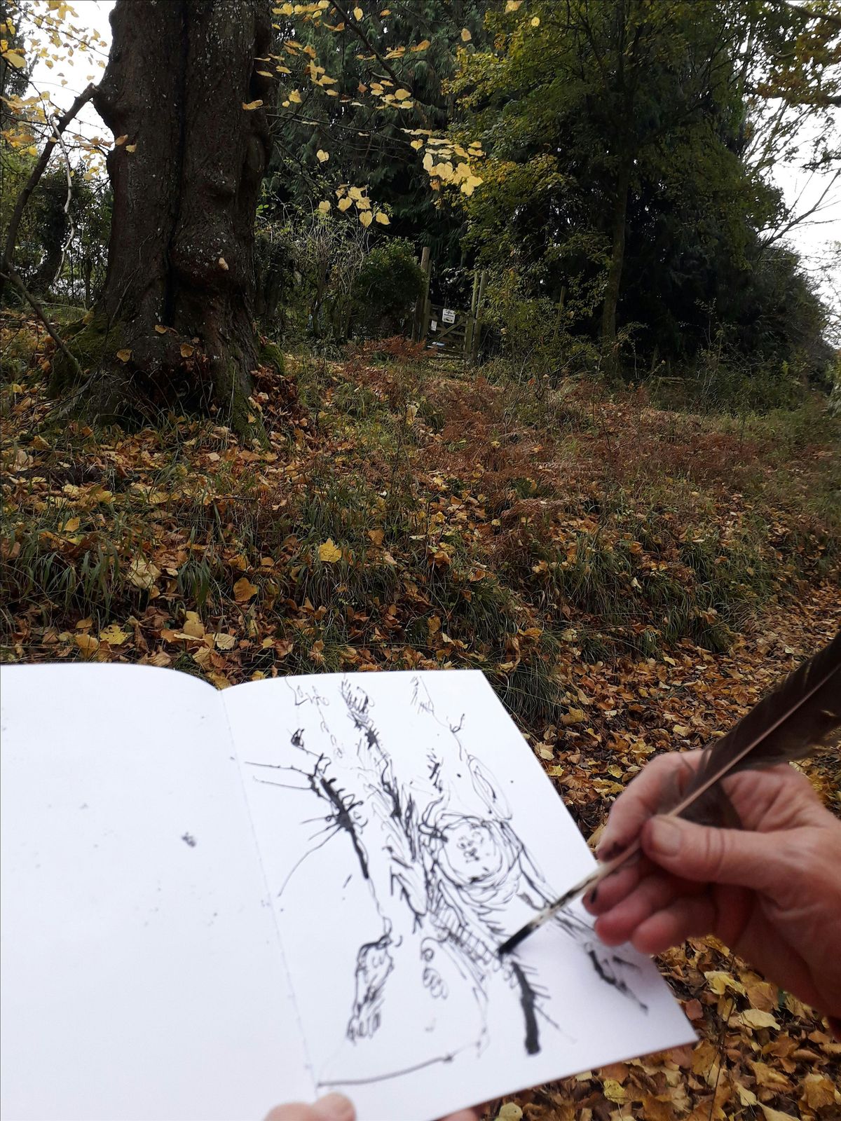 Cyril Hart Arboretum Creative Walk in Nature, 8 December | Event in Coleford | AllEvents