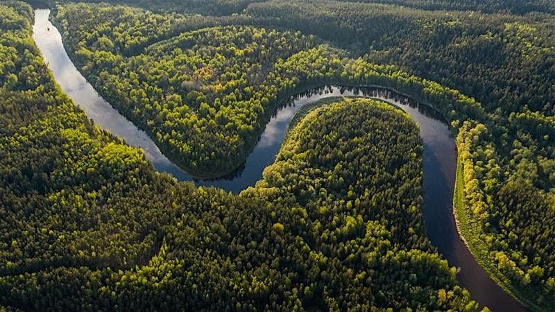 Climate Justice, Finance and Our Common Future at COP30: Panel Discussion, 28 November | Event in Cambridge