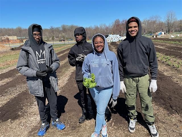 Volunteer & Learn To Grow Organic Vegetables At Asawana Farms | Event in Upper Marlboro | AllEvents