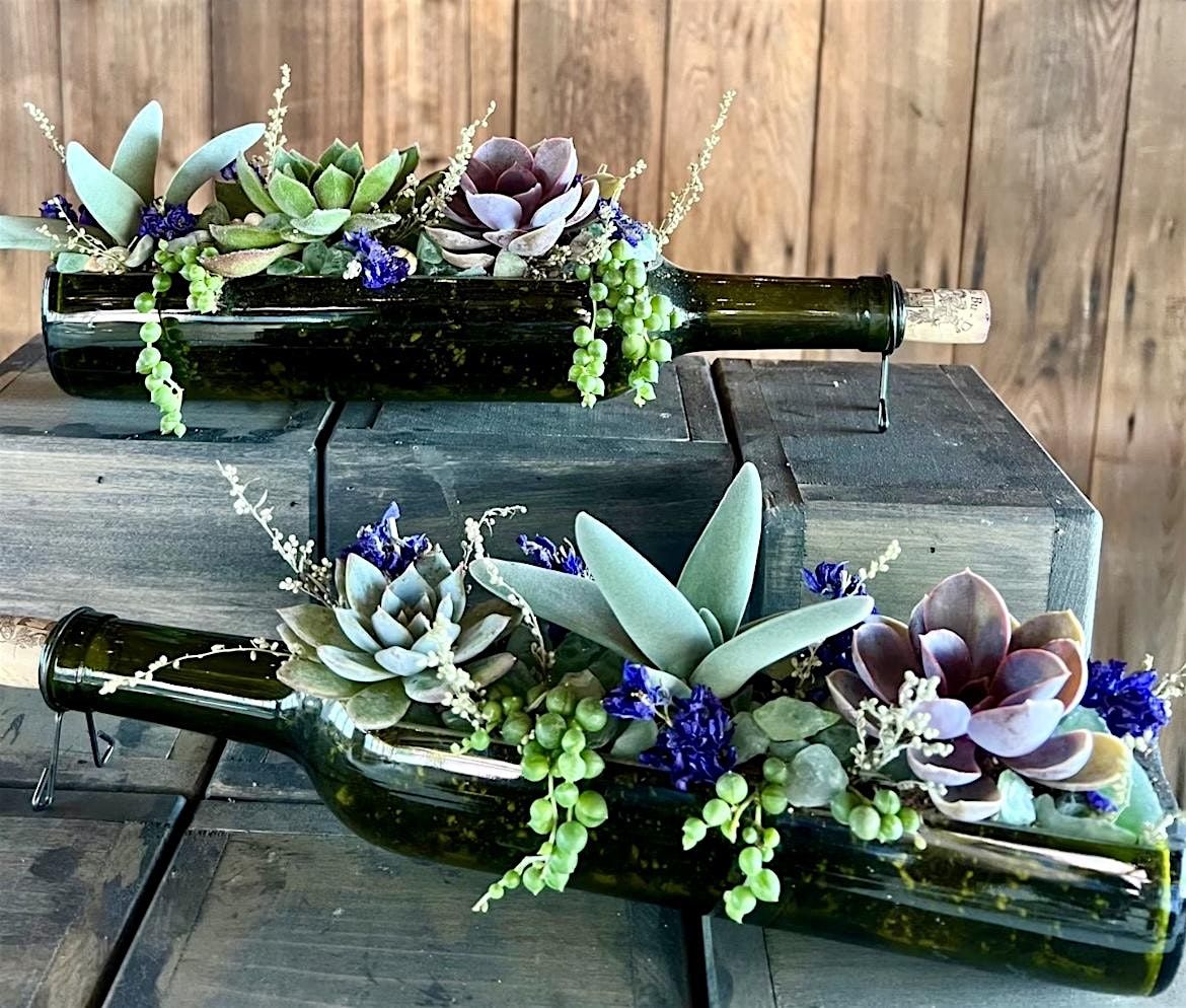 Succulent Wine Bottle Arrangement, 14 June | Event in Newport News | AllEvents