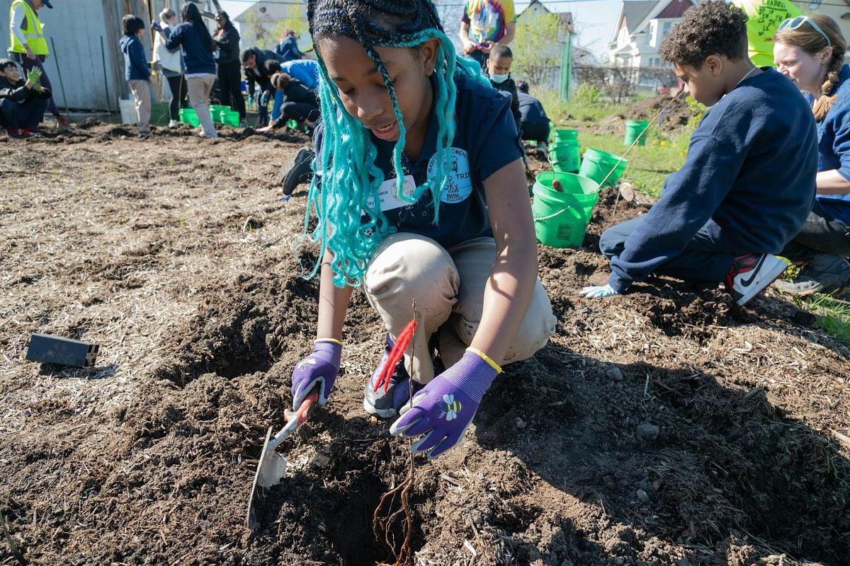 Workshop: Learn How a Mini-Forest Can Bring Nature to Your Community, 14 August | Event in Saint Paul | AllEvents