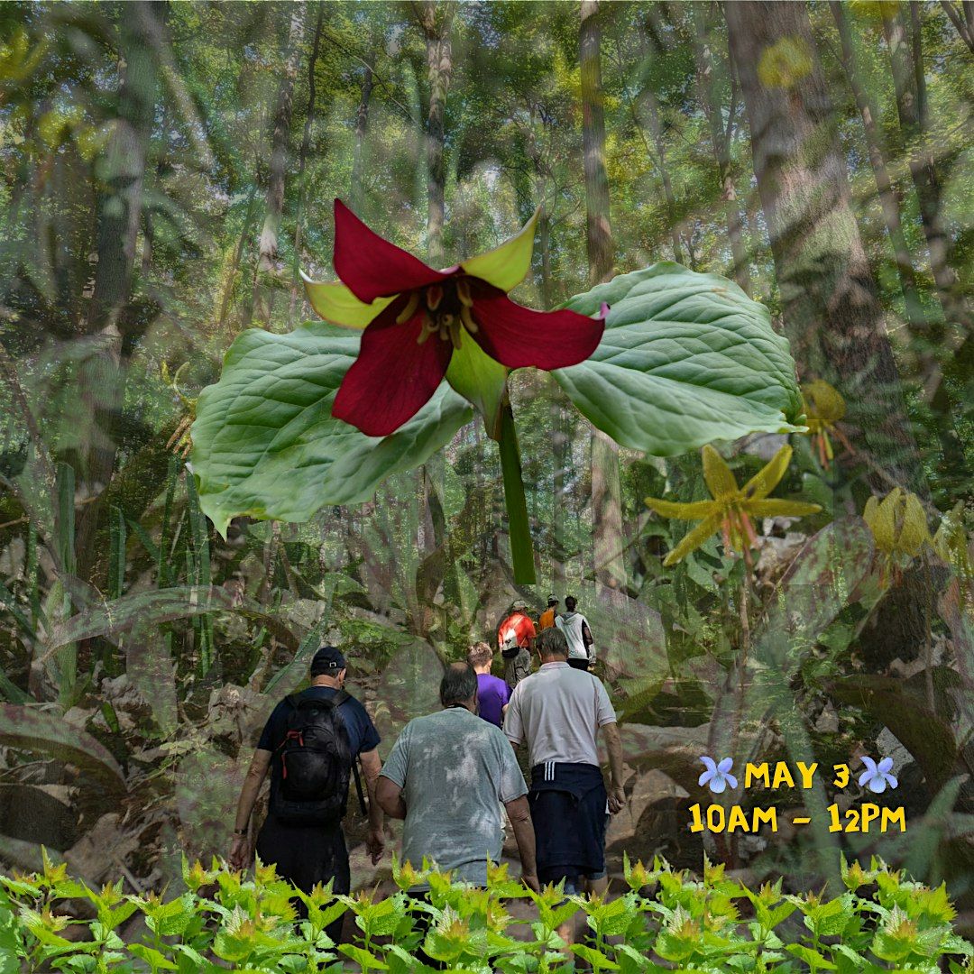 May Forest Hike | Event in Aurora | AllEvents