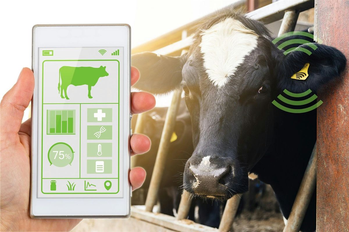 Transforming the Dairy Supply Chain with Innovation & Collaboration, 8 October | Event in Glasgow | AllEvents