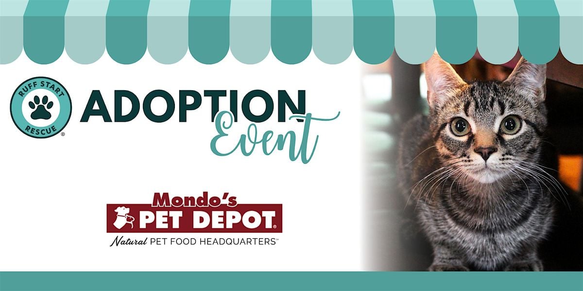 Adoption Event at Mondo's Pet Depot, 28 June | Event in Cambridge | AllEvents