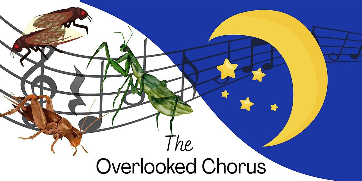 Singing Insects - The Overlooked Chorus, 9 July | Event in Clearwater | AllEvents