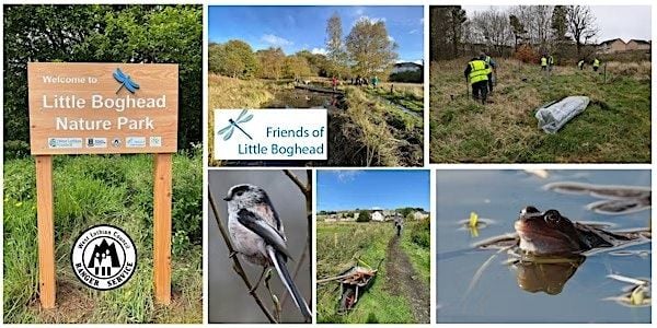 Friends of Little Boghead - Hibernacula creation, 24 August | Event in Bathgate | AllEvents