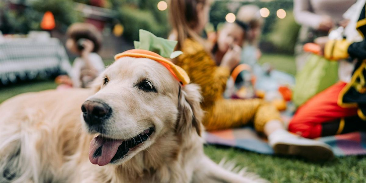Fairmont Washington D.C., Georgetown's 14th Annual Howl-O-Ween, 30 October | Event in Washington | AllEvents